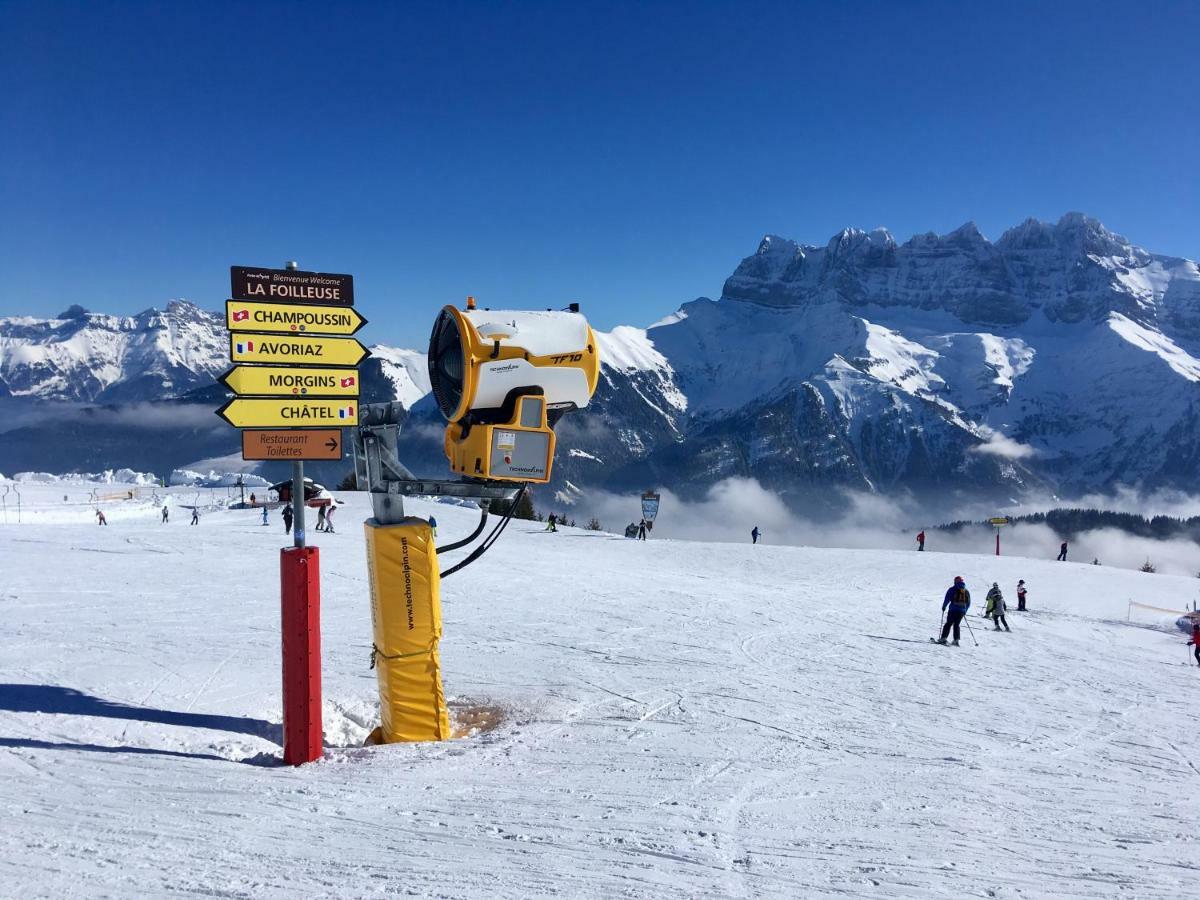 Marmotte 2 *