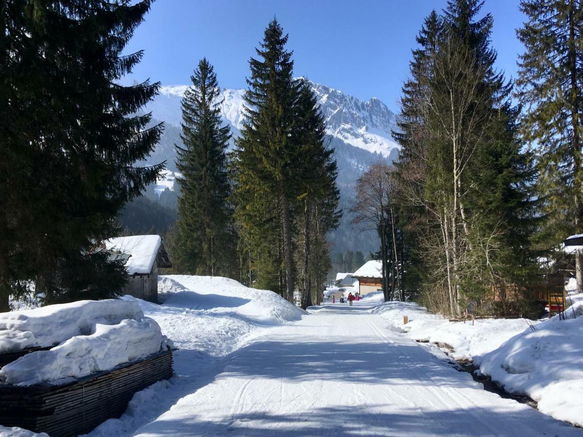 Marmotte 2