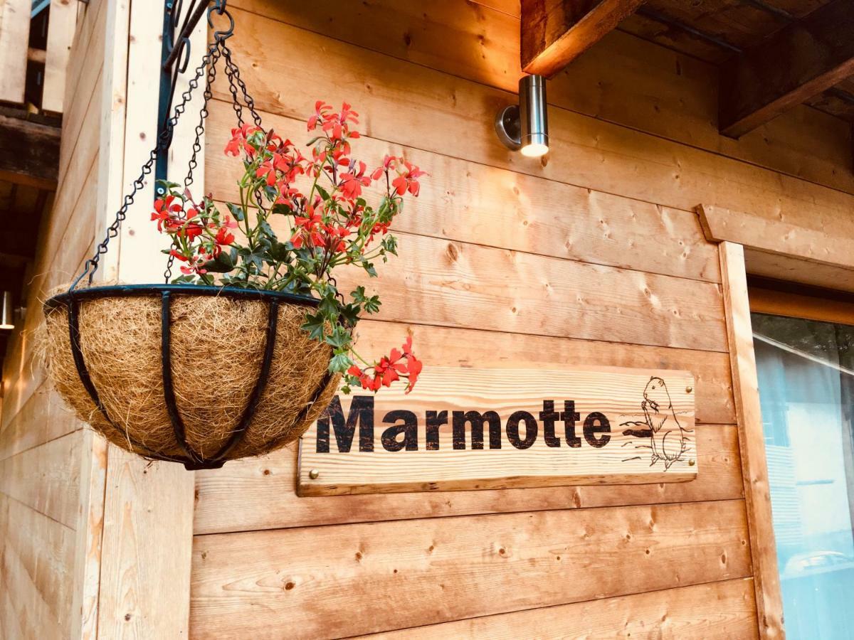 Marmotte 2 Apartment